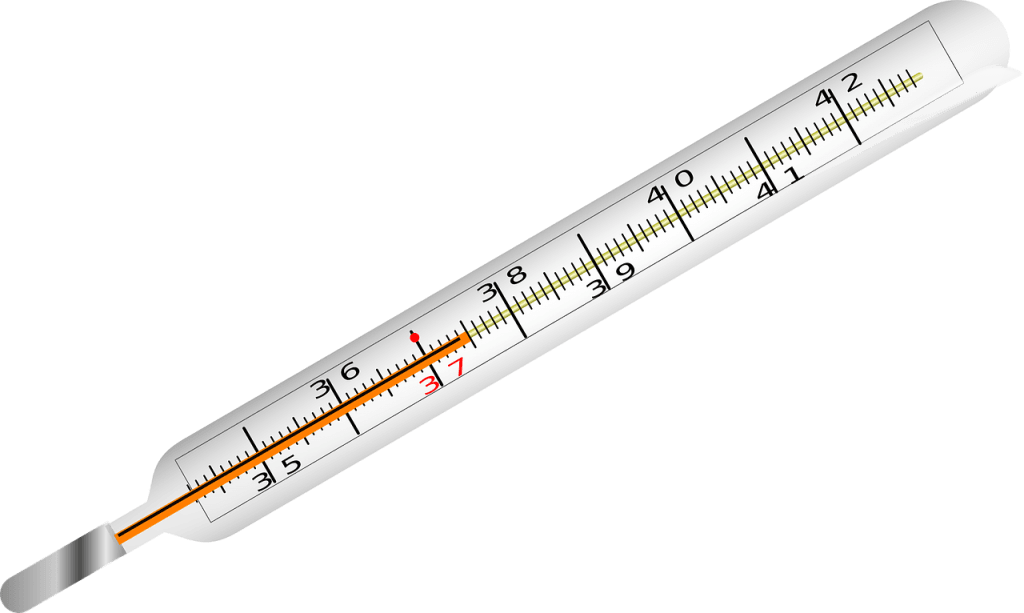 kako-vam-dela-scitnica-preverite-kar-sami