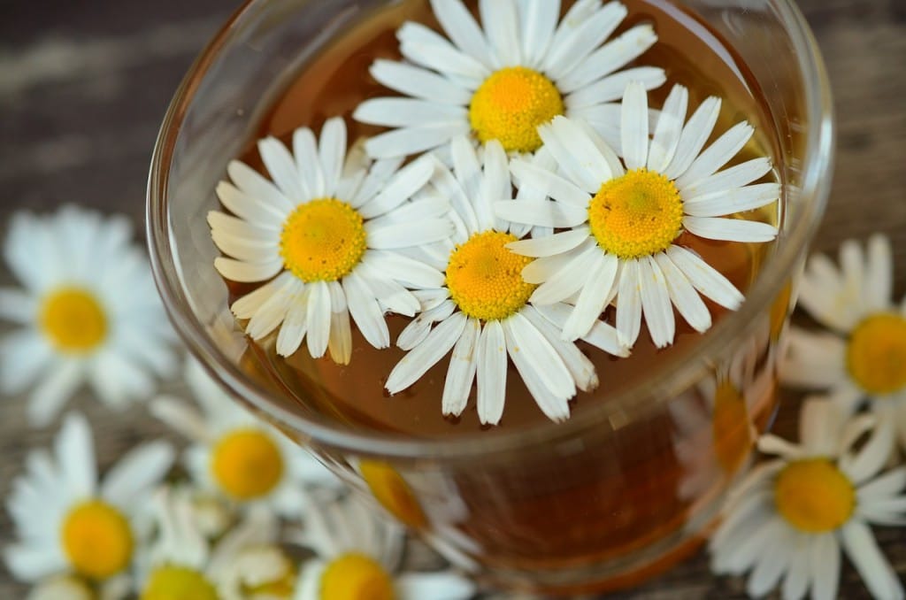Pozabite na virozo in prehlade - naravna zdravila za vaše malčke-1