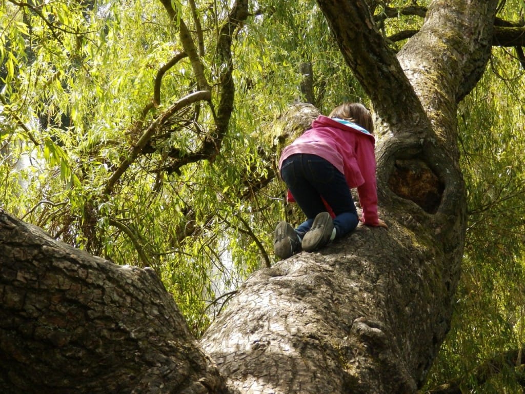 Tvegana igra - zakaj jo otroci obožujejo in potrebujejo