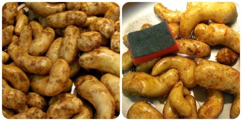 Recept: hrustljavo pečen mladi krompirček Recept: hrustljavo pečen mladi krompirček