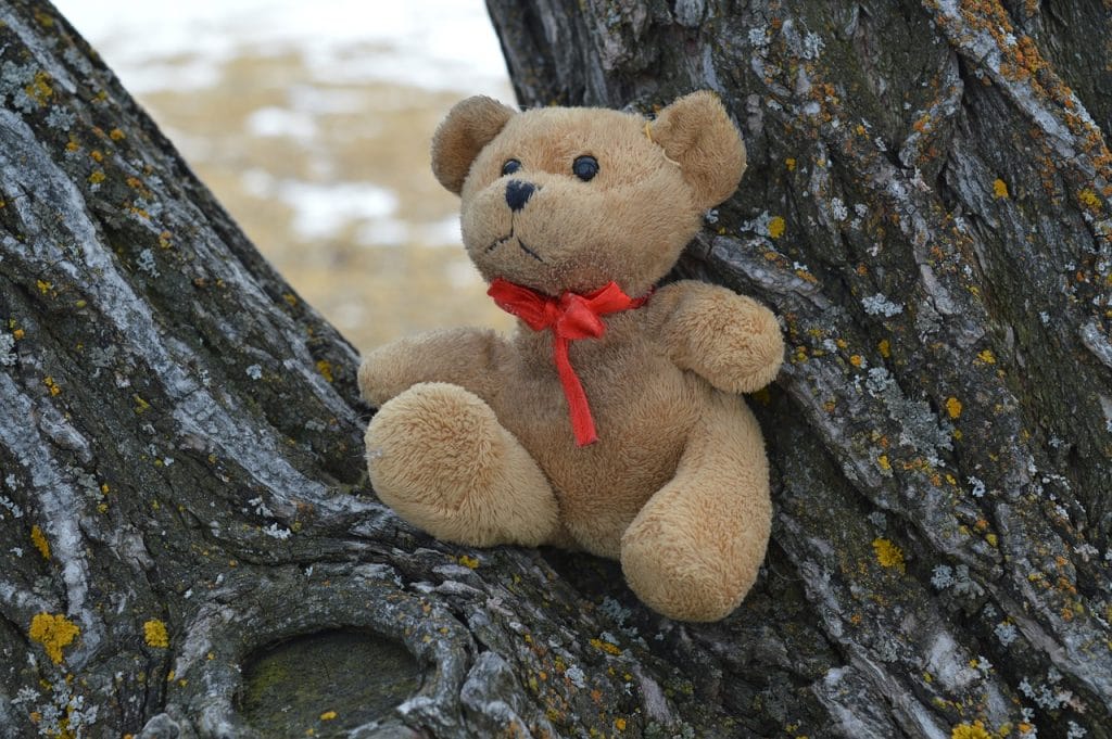 Danajine zlate pravljice: Izgubljeni medvedek - pravljice za lahko noč Danajine zlate pravljice: Izgubljeni medvedek - pravljice za lahko noč
