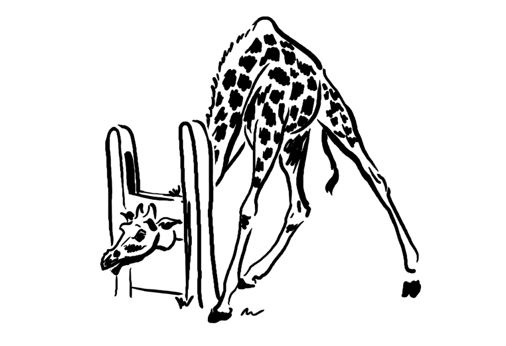 Danajine zlate pravljice: Žirafa ima dolg vrat