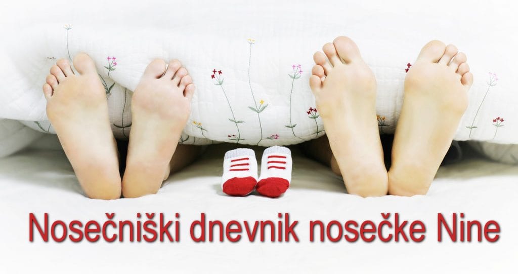 Nosečniški dnevnik nosečke Nine Nosečniški dnevnik nosečke Nine